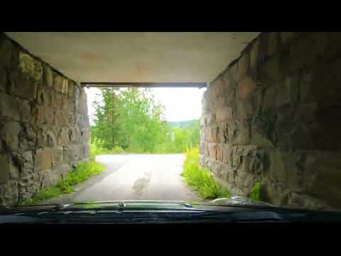 Norway Driving Tour In The WOODS