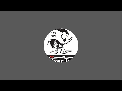 川サーフィンLive
