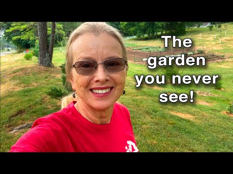 HUGE End of June Garden Tour | Successes and ISSUES