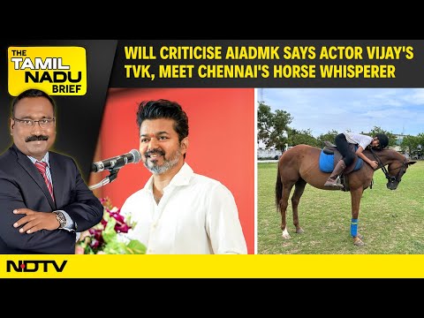 Actor Vijay's TVK: Will Criticise AIADMK, Snakebite Menace In Tamil Nadu, Meet TN's Horse Whisperer