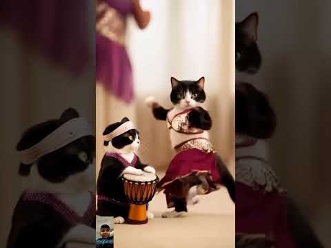 Cat funny dance 😂😂 #cat #growupmyaccount #funny #cute #fyp#meaw #trendingshorts #shorts