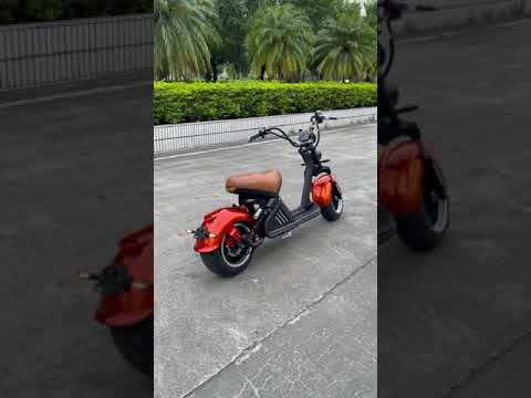 Citycoco scooters Rooder