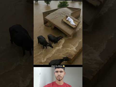 '' Allah hu Akbar 😱'' #shortsfeed #muslimcontent #duet #ilovemohammadﷺ #panjab #news #trending