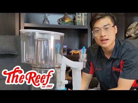 Check out the NEW aquavitro division protein skimm Join us, as Khoi dives into all the great features on the new Aquavitro division protein skimmers! W