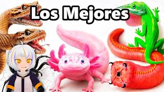 Mis Mejores Mascotas de 2026 (hasta ahora) | ChuyMine REACCIONA a Terr