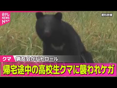神奈川・秋田で頻発するクマの出没と高校生襲撃事例について サムネイル