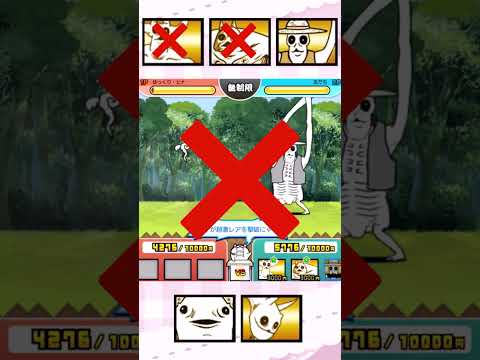 猫の動画サムネイル - 【伝説のネコルガ族】クビランパサランは勝てる？