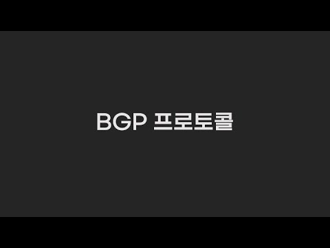 BGP 프로토콜