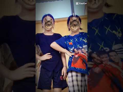 peb hmoob cob li cob