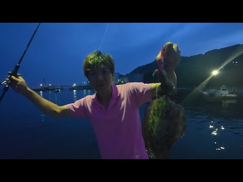 エギングinモンゴリアンアイランド