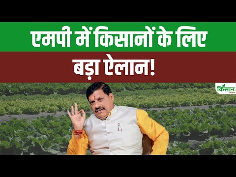 MP Cabinet Meeting 2025: CM Mohan Yadav ने किसानों के लिए कई योजनाओं पर कर दी बड़ी घोषणाएं