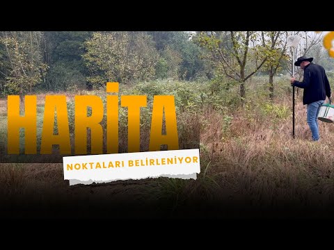 Proje Noktaları Belirleme | Harita Konusunda Önemli Noktalar