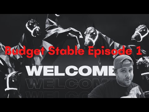 Budget Stable Episode 001 - ZedRun stable with only $500