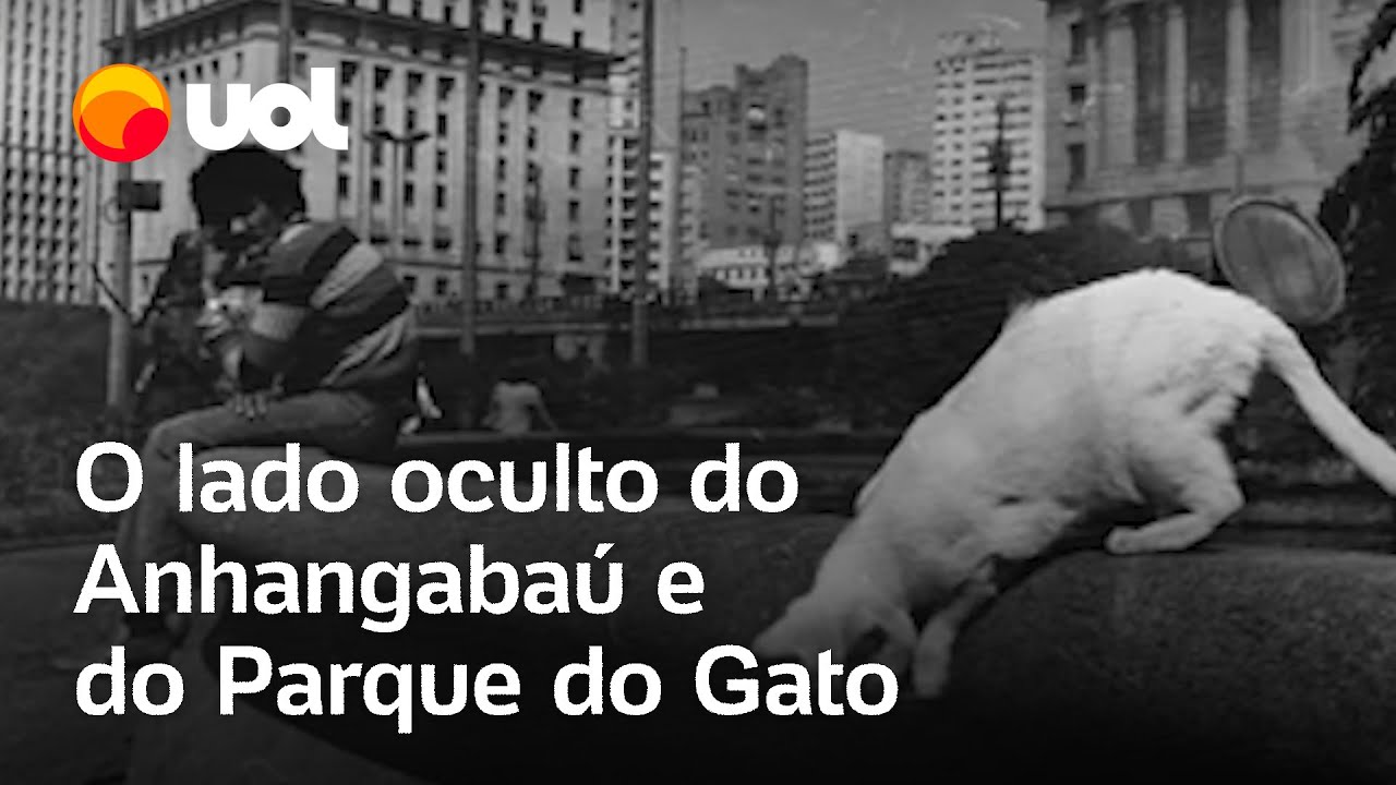 Gatos, abandono e extermínio: o lado oculto do Anhangabaú e do Parque do Gato; veja vídeo