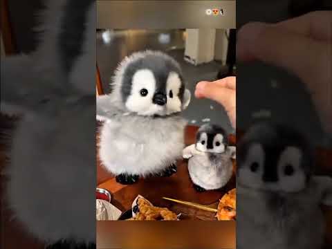 Cute Panguins eating fruits 🤩 #cute #panguin #cuteanimals #shortvideo #animallife #shortvideo #trend