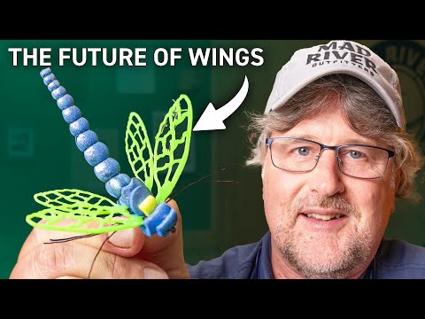 These 3D Bug Wings are The Future!
