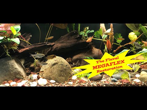 The MEGA Flex Restoration A short video showing the restoration of a Fluval Mega Flex 32.5 gal tank from an empty glass box to