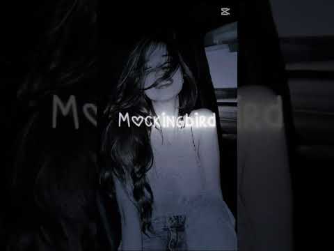 спасибо за 200под🥳🥳🥳🥳