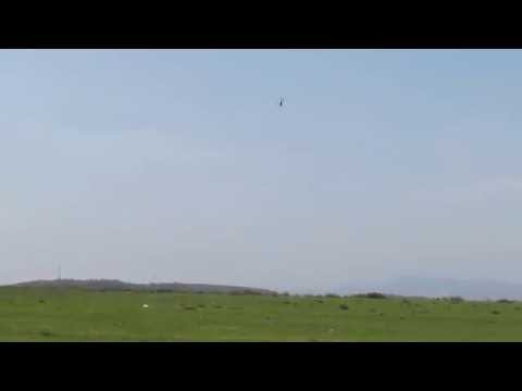 [Video]:  Trex 500 DFC Hurricane- Parsel Denenem - 06.04.14