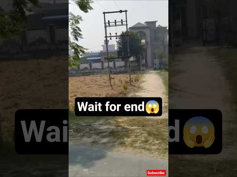 🦁Lion Ka LIVE Scene Gali Mein Real Lion Spotted Outside House India#LionLive #WildAnimal#ViralVideo