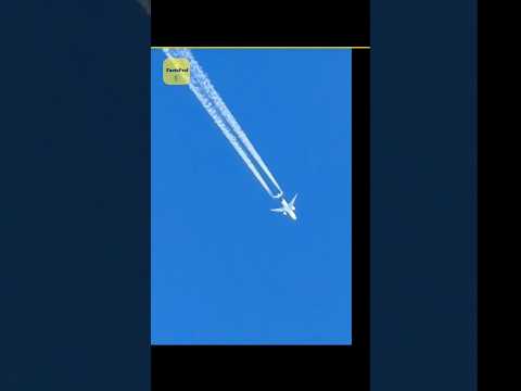 Why Do White Lines Form 😱