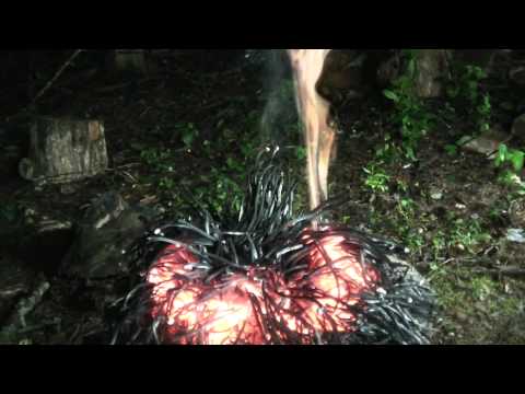 Chain Reaction Forest Fire Simulation Experiment - UCe_vXdMrHHseZ_esYUskSBw