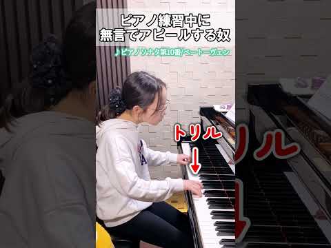 みんなはトリル得意？苦手？【ピアノソナタ第10番】