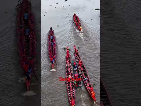 Đội nào z anh em