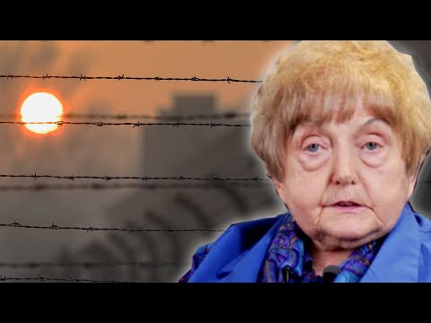 I Survived The Holocaust Twin Experiments - UCpko_-a4wgz2u_DgDgd9fqA