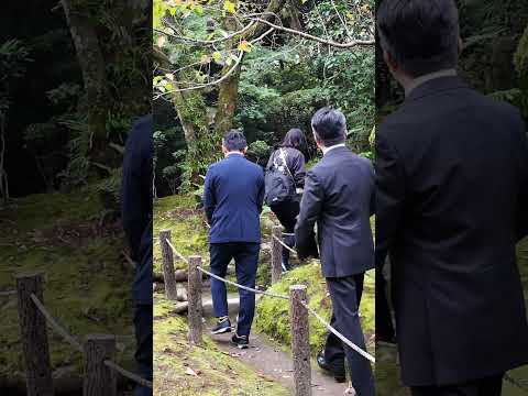 【八代市文化祭合同茶会】 #八代 #熊本 #松浜軒#vlog