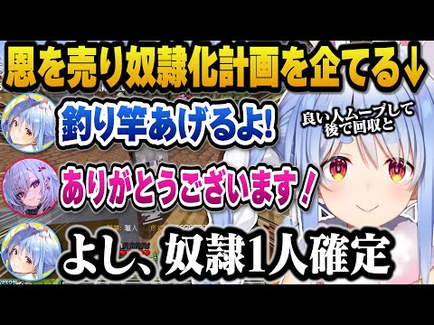 【Minecraft】良い人ムーブで恩を売り奴隷化計画を遂行しようとするぺこら＋ガチすぎて1人だけ別ゲーをしてると言われてしまうぺこらｗ【ホロライブ切り抜き/兎田ぺこら】