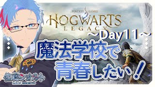 【#ホグワーツレガシー/PC】しろくろ世界なシオルト・サーコン学園生活～day11～