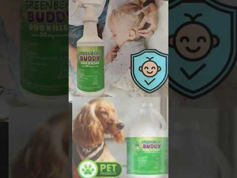 Why Bed Bugs Keep Coming Back😩