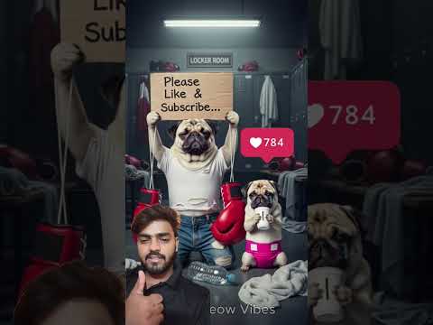 The poor pug was unfairly defeated by the cat in the boxing match. #pug #funny #cute #poordog