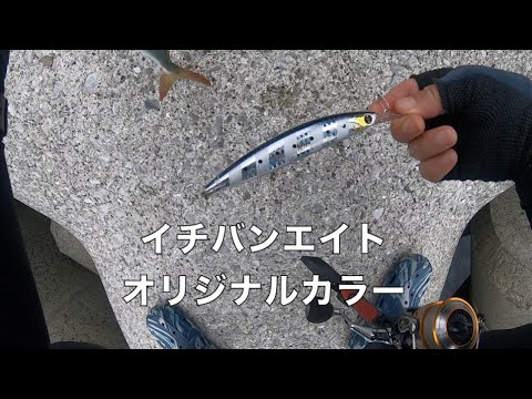 青物!カマス!大アジ!朝マズメを攻略!【秋のショアジギ】