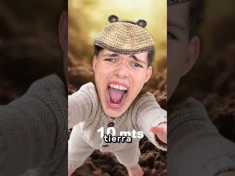 El <strong>Mono</strong> Lo Sacó! 🙊