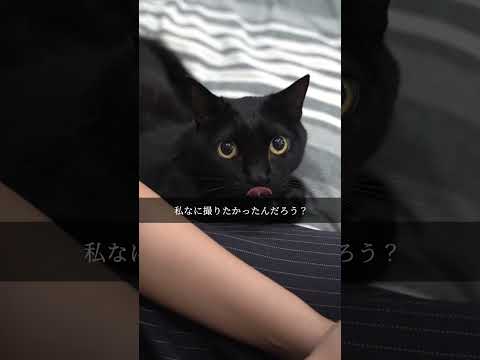 ＃猫あるある