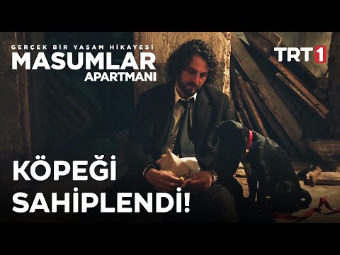 Han, Sokağa Terk Edilen Köpeği Sahiplendi! | Masumlar Apartmanı 66. Bölüm