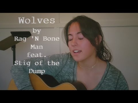 RAG 'N BONE MAN feat. STIG OF THE DUMP | Wolves (Acoustic Guitar Cover)