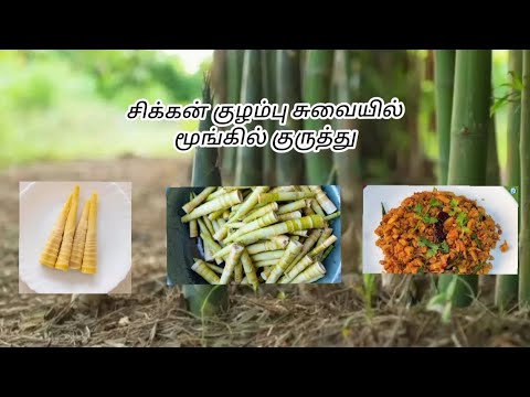 Chicken gravy 😋 சுவையில் மூங்கில் குருத்து Bamboo cooking tamil#cooking #chickenrecipe#chickengravy