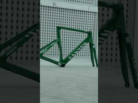 The colour of speed - #MyCanyon Abell 💚
