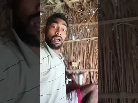 #timelapse star to finish alone build log cabin wooden house how to build wooden cabin surviva 03