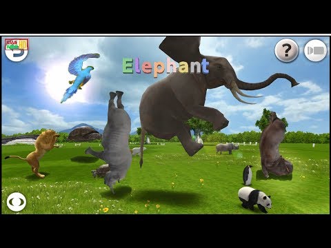 Learn About Animals - Baby Fun Game With Real Animals | GameKids HD