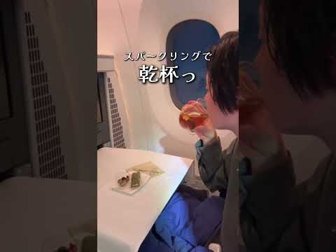 ビジネスクラスで世界一周旅 〜出発編〜 ぼっちで家族のプチ移住先を探しに出る旅スタート!!#世界一周 #ビジネスクラス #ana #anaビジネスクラス #海外旅行