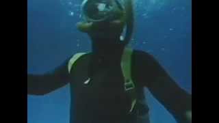 Click to View : Shark (1969)