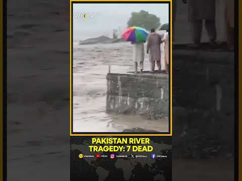 Swat River Tragedy: 18 Family Members Swept Away, 7 Dead, Several Missing | WION Shorts