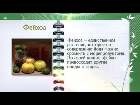 Кулинарная энциклопедия - Фейхоа - UC7XBjhXnmmXFsxmnys9PmDQ