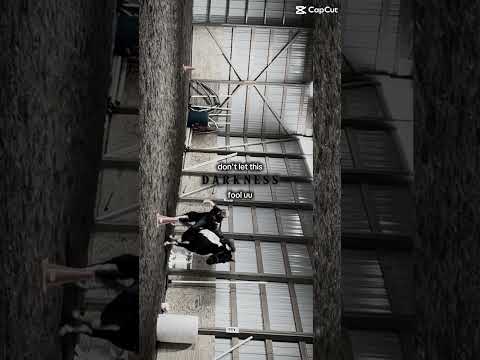 #horse #equestrianjourney #horseenthusiast #stopanimalabuse #equestrian #horsefan #horsegirl