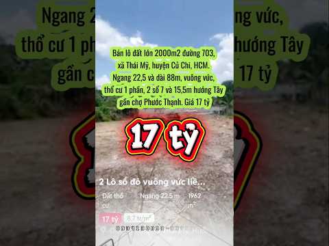 Bán lô đất lớn 2000m2 đường 703, xã Thái Mỹ, huyện Củ Chi, HCM. Ngang 22,5 và dài 88m