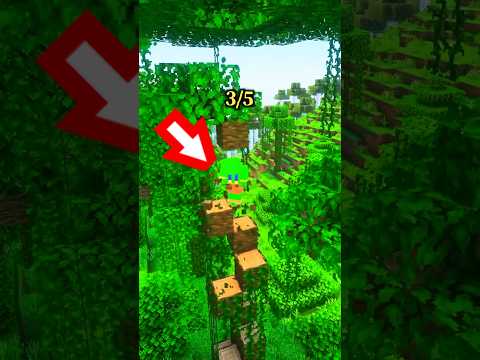 5選!初心者の時に知りたかったこと【マイクラ】